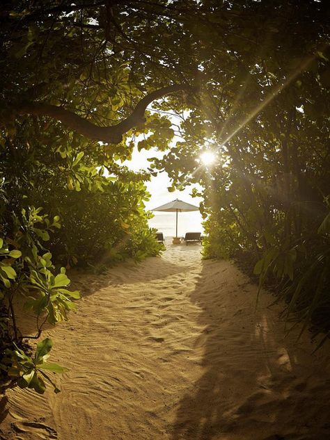 Land villa - private beach access Beach Path, Beach Cabana, Eco Travel, Park Hyatt, Private Beach, Travel Bucket, Nature Travel, Maldives, Beautiful World