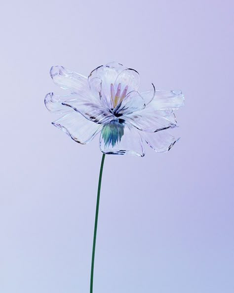 Flower Concept Art, Cyberpunk Flower, Flower 3d Art, Flower Experiment, Digital Flower Art, Flower Animation, Art Motion Graphics, Flower Transparent, Modern Flowers