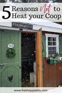 Urban Chicken Coop, Urban Chicken Farming, Chickens In The Winter, Portable Chicken Coop, Urban Chickens, Coop Design, Best Chicken Coop, Chicken Coop Designs, Coop Plans