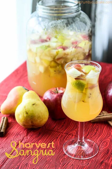 Harvest Sangria | A warm, autumn blend of apple, pear, ginger, and cinnamon, steeped with your favorite white wine! Harvest Sangria, Pear Sangria, Pear Ginger, Thanksgiving Cocktails, Ginger And Cinnamon, Fall Cocktails, Sangria Recipes, Alcohol Drinks, Fall Drinks