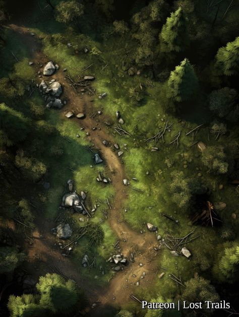 A dark trail in a gloomy pine forest. Dungeon Map Dnd, Road Battlemap, Dnd Forest Map, Battle Maps Dnd, Dnd Maps Forest, Forest Battlemap, Wilderness Battlemap, Dnd Battle Maps, Dark Forest Battlemap