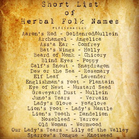 If It’s Magick on Instagram: “Here is a short list of folk names for a few herbs. Learning folk names proves helpful in better understanding grimoires. Some herbs may be…” Witch Names For Herbs, Folk Names For Herbs, Herbal Business Names, German Folk Magic, Herbal Names, Folk Herbalism, Appalachian Folk Magic, Herb Names, Granny Witch