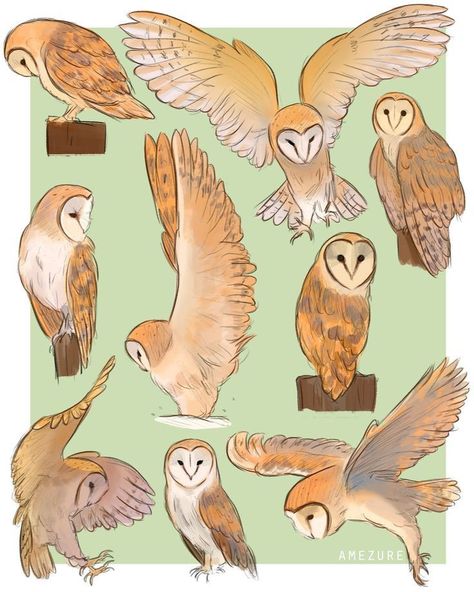 Animal Tattoo Ideas, Owls Drawing, Dessin Adorable, Animal Sketches, Owl Art, Arte Animal, Bird Drawings, 영감을 주는 캐릭터, Cute Animal Drawings