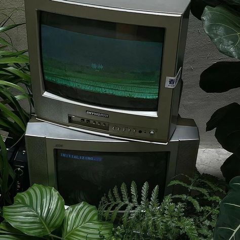 Tv, Plants, Green