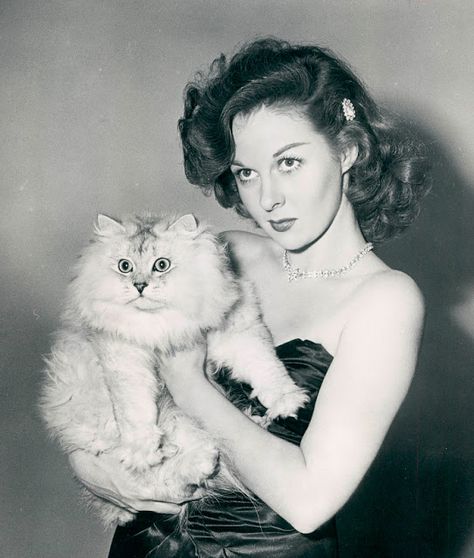 Celebrities With Cats, Susan Hayward, Engelberg, Hollywood Waves, Cat Pose, Old Hollywood Stars, Cat People, Fluffy Cat, Cat Person