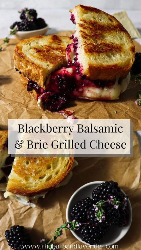 Grilled Cheese Recipes Gourmet, Blackberry Balsamic, Brie Grilled Cheese, Grilled Cheese Recipes, Delicious Sandwiches, Cheese Sandwich, Grilled Cheese Sandwich, Grilled Cheese, Cheese Recipes