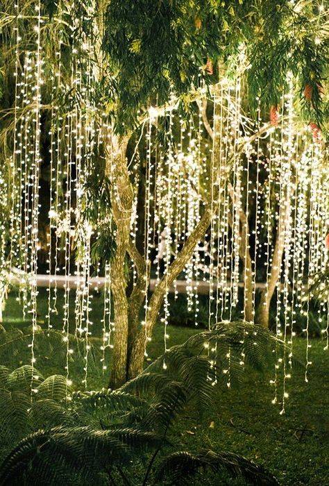 42 Most Pinned Wedding Backdrop Ideas 2019 ❤ wedding backdrop ideas light backdrop vickigraftonphotography #weddingforward #wedding #bride Backyard Wedding Lighting, Lights Hanging, Bistro Lights, Lights Wedding, Garden Wedding Decorations, Icicle Lights, Wedding Centerpieces Diy, Wedding Winter, Outdoor Wedding Decorations