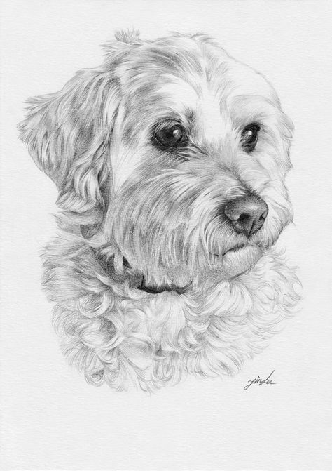 Custom portrait pet portrait drawingdog cat. etc | Etsy #pencilart #portraitpet #animalart Labradoodle Drawing, Dog Songs, Dog Pencil Drawing, Tatoo Dog, Hyperrealism Paintings, Dog Portraits Painting, Dog Portraits Art, Pet Drawing, Pencil Portrait Drawing