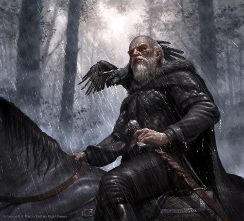 Lord commander Mormont by Ryan Valle. : ImaginaryWesteros Jeor Mormont, Fantasy Humans, Lord Commander, Dnd Portraits, Fantasy Wizard, Asoiaf Art, Nights Watch, Game Of Thrones Art, Image Painting