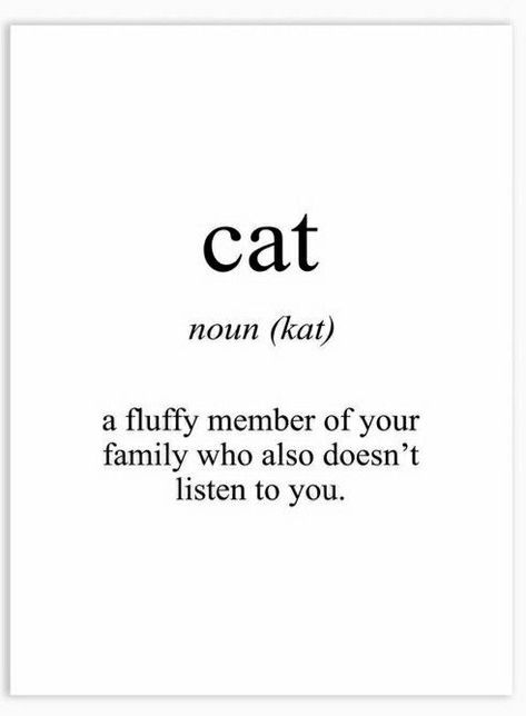 Cat Attitude Quotes, Cat Definition Quote, Cat Person Quotes, Cat Owner Quotes, Aesthetic Meaning, Quotes About Cats, Cat Captions, I Miss My Cat, Cat Text