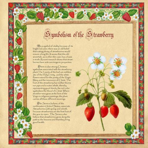 Symbolism of Strawberries Strawberry Kitchen, Strawberry Decorations, Strawberry Patch, Strawberry Plants, Christian Symbols, Ideas Vintage, Beltane, Practical Magic, Kitchen Witch