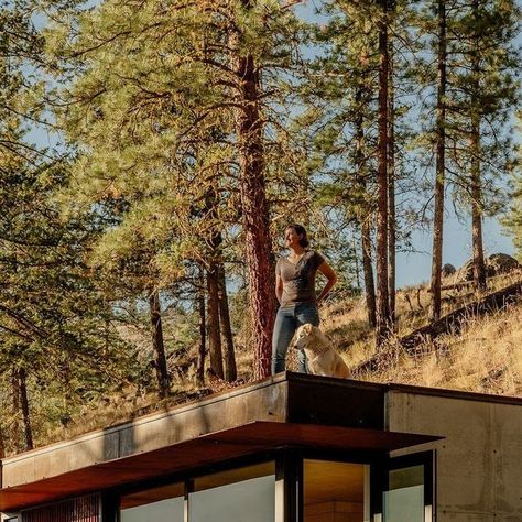 PLAIN Magazine on Instagram: "Located in Mazama, Washington’s Methow Valley, Tinyleaf is a small cabin that gives its guests access to activities that would please any outdoor enthusiast’s heart, from mountain biking or hiking in the warmer months to cross-country skiing in the winter. With a connection to the outdoors at its core, Seattle-based studio @GO_C_STUDIO designed the this small outpost and guest studio for total immersion in nature. Follow the link in bio for a cabin tour.⁠
⁠
📸: @benlindbloom" Mazama Washington, Guest Studio, Hillside House, Sloped Garden, A Cabin, Outdoor Enthusiast, Small Cabin, Cross Country Skiing, In The Winter