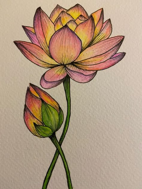 Lotus Doodle Art, Lotus Pencil Drawing, Lotus Sketch Drawing, Pencil Colour Sketches For Beginners, Aesthetic Pencil Drawings, Lotus Flower Sketch, Color Pencil Art For Beginners, Lotus Sketch, Lotus Flower Drawing