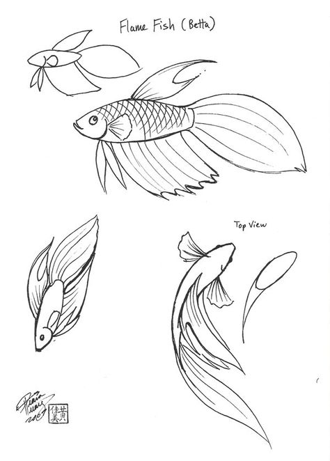 Flame Fish by Diana-Huang on DeviantArt Beta Fish Doodle, Beta Fish Line Art, How To Draw A Betta Fish, Beta Fish Illustration, How To Draw A Beta Fish, Betta Fish Sketch, Betta Fish Drawing, Beta Fish Drawing, Embroidery Fish