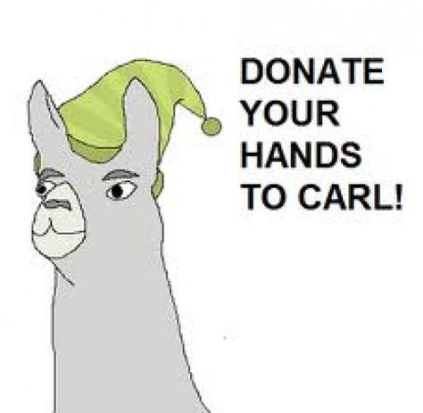 Carl from Llamas With Hats Charlie The Unicorn, Llamas With Hats, In Soviet Russia, Soviet Russia, Weird Look, Inside Jokes, Make Me Happy, Llama, Make Me Smile