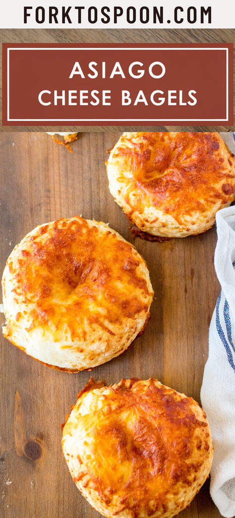 Panera is known for its incredible bread, especially their asiago cheese bagels! While it's tempting to swing by and grab one—or a dozen—of these cheesy delights, there's something special about baking them fresh in your own kitchen. For me, homemade always wins! So [...] Bread Maker Bagel Recipe, Cheddar Herb Bagels, Homemade Asiago Bagels, Cottage Cheese Bagels In Air Fryer, Flavored Bagel Recipe, Onion Bagel Recipe, Mini Bagel Recipes, Bagels Toppings, Everything Bagel Recipes