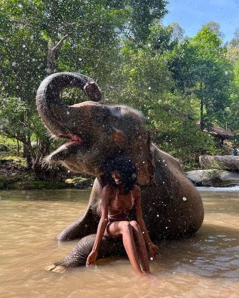 @megan.milan on Instagram: “No edits, no filters, just pure joy 🫶🏾🐘” Megan Milan, Bali Elephant, Terrence Loves You, Thailand Honeymoon, Thailand Elephants, Thailand Vacation, Elephant Sanctuary, Africa Do Sul, Pure Joy