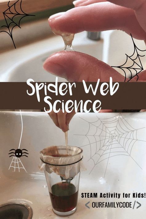 Spider Science Activities, Spider Web Science, Sticky Spider Web Activity, Spider Projects For Kids, Spider Science Experiment For Kids, Spider Activities For Kids, Sound Stem Activities, Spider Web Activity, Spider Activities For Preschool