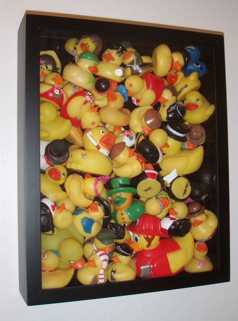 Shadow box filled with rubber duckies! I have a rubby ducky themed bathroom my collection of rubber duckies looks more updated and put together in this rather then all over the place!  I got the idea from a mom doing this with her son's matchbox cars. Love it! Rubber Ducky Collection, What To Do With Rubber Ducks, Rubber Duck Collection Display, Rubber Ducky Display, Rubber Duckie Bathroom, Rubber Duck Display Ideas, Rubber Duck Bathroom Ideas, Rubber Duck Collection, Rubber Duck Display