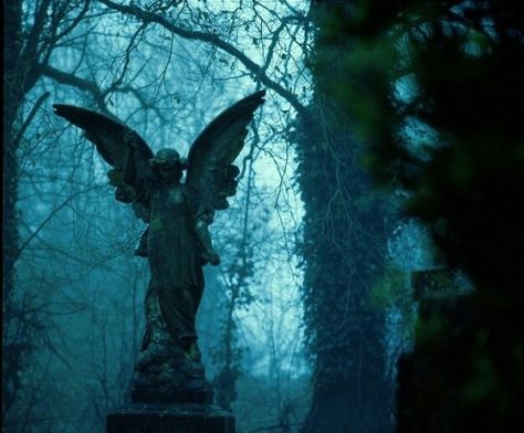 This could possibly be Highgate Cemetery in North London. I think I recognise the Beer family mausoleum… and that in itself makes me sound like a weirdo. Paradis Sombre, Gothic Coffin, Cemetery Angels, Dark Naturalism, Cemetery Statues, Cemetery Art, Angel Statues, Tumblr Photography, Gothic Beauty