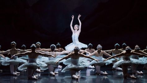 Swan Lake - The Story | The Australian Ballet Drinking Toasts, Palace Ballroom, Swan Lake Ballet, Australian Ballet, Spanish Dancer, Elemental Powers, Lady In Waiting, Hbo Max, Swan Lake