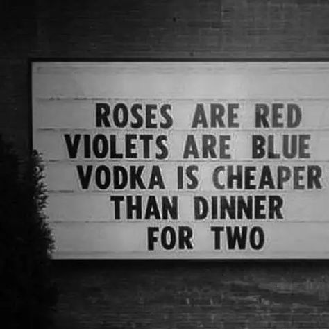 Roses Are Red Memes, Roses Are Red Funny, Roses Are Red Poems, Funny Poems, Valentines Day Funny, Drinking Quotes, Roses Are Red, Funny Valentines Day Quotes, Valentine's Day Quotes