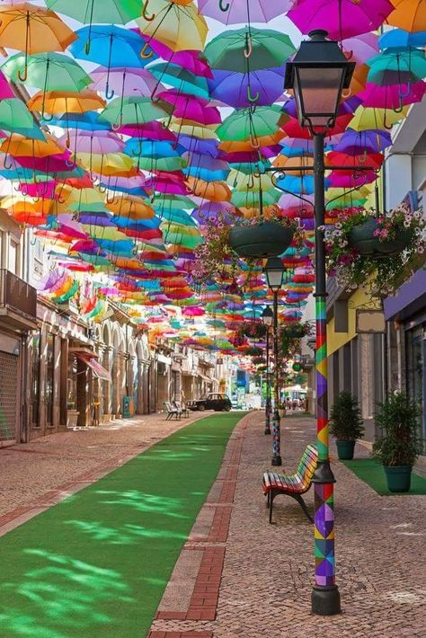 Umbrella street in Agueda, Aveiro, Portugal. Umbrella Street, Colorful Umbrellas, Umbrella Art, Ipoh, Portugal Travel, Travel Goals, Places Around The World, Places To Travel, Places To Go