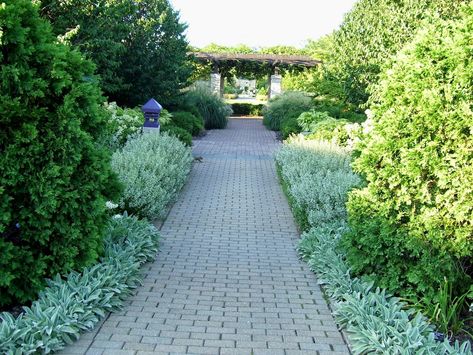 Lambs Ear Plant, Japanese Landscape Design, Solar Post Lights, Japanese Landscape, Modern Backyard, Traditional Landscape, Lambs Ear, Large Plants, Modern Landscaping