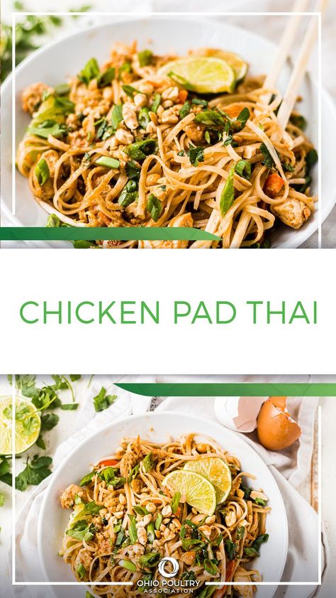 Looking for healthy recipes to add to your meal plan? Healthy Chicken Pad Thai is bursting with protein-packed eggs and chicken, plus plenty of yummy veggies. Easy Healthy Dinner Recipes Casseroles, Healthy Shareable Meals, Healthy Dinner Recipes Thai, Healthier Pad Thai, Thai Food Meal Prep, Healthy Organic Meals Recipes, High Protein Chicken Pad Thai, Low Calorie Chicken Pad Thai, Easy Healthy Dinner Asian