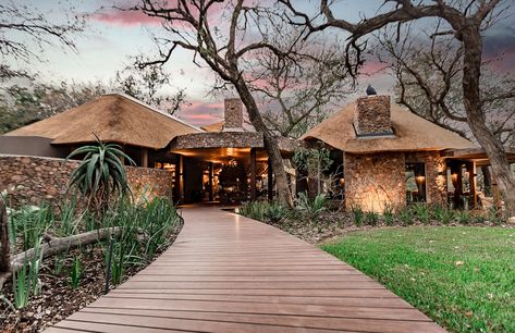 Dulini Moya, South Africa | Timbuktu Travel Lodge Design Architecture, Game Lodge Design, African Lodge Design, Africa Resort, African Resort, Safari Vehicle, African Lodge, Farm Resort, Bush House