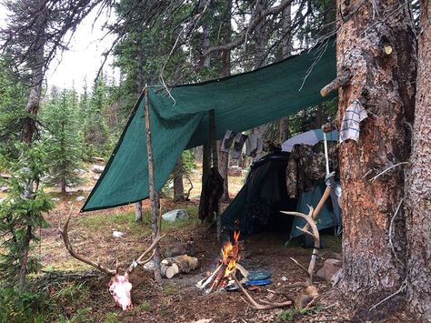 Tips for Setting Up the Best Base Camp Ever | Outdoor Life How To Camp, Tents Camping, The Stag, Base Camp, Outdoor Life, Bushcraft, Good Ideas, Hammock, Hunting