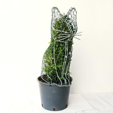 Buy topiary bay trees and olive trees from the leading online supplier of topiary plants and shrubs in the UK. Top Topiary delivers exquisite topiary for gardens and patios. Indoor Topiary, Chicken Wire Art, Chicken Wire Crafts, Outdoor Topiary, Topiary Plants, Dog Frames, Cat Frame, Garden Landscape Design, Wire Crafts