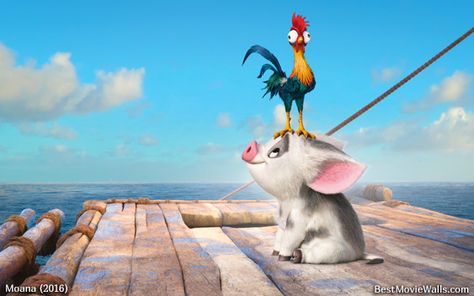 #HeiHei - the world's dumbest chicken and #Pua - #Moana's loyal 'puppy' pig :] Moana, Maui, Rooster, Chicken, Film, Disney, White