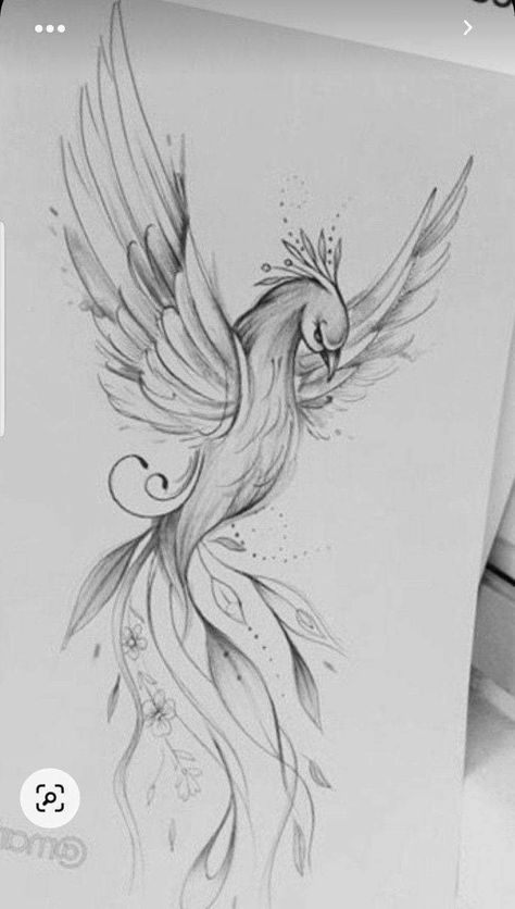 Tato Phoenix, Phoenix Drawing, Phoenix Tattoo Feminine, Small Phoenix Tattoos, Phoenix Bird Tattoos, Phoenix Tattoo Design, Feather Tattoo Design, Phoenix Tattoo, Feather Tattoo