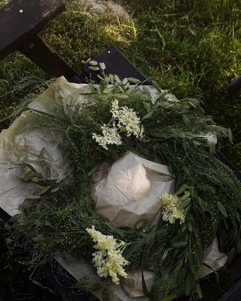 Witch Herb Garden Aesthetic, Herbs Aesthetic Witch, Angelica Root Witchcraft, Garden Angel Aesthetic, Angelica Witchcraft, Green Academia, Unorganized Idea, Dark Green Aesthetic, Spring Awakening