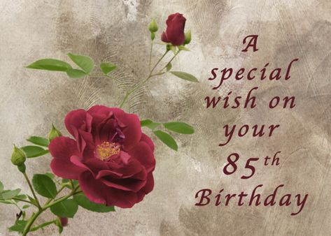 Red Rose a Special 85th Birthday Wish card Birthday Wish Card, 20th Birthday Wishes, 25th Birthday Wishes, Modern Birthday Card, 40th Birthday Wishes, 30th Birthday Wishes, 50th Birthday Wishes, 91 Birthday, 71 Birthday