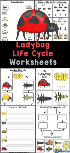 Get your little learners excited about learning about insects and the super helpful, and pretty ladybugs for kids with our free printable ladybug worksheets! These fun and educational ladybug printable pages cover math and literacy skills, perfect for preschool, pre-k, and kindergarten kids. Plus, they also include information about the life cycle of ladybugs. Download and use these ladybug life cycle worksheets to make learning a breeze for your little ones! Life Cycle Of An Ant, Ant Lesson, Learning About Insects, Plant Life Cycle Worksheet, Ant Life Cycle, Preschool Counting Worksheets, Ladybug Life Cycle, Insect Life Cycle, Cycle For Kids