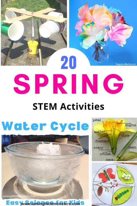 Spring Stem Activities For Preschool, Spring Stem Activities For Kindergarten, April Stem Activities For Kids, Spring Stem Activities Elementary, April Steam Activities, Spring Themed Stem Activities, Elementary Science Projects, March Stem, Spring Science Activities