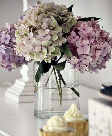 Apt Decorating Ideas, Home Flower Arrangements, Hydrangeas Art, Hydrangea Arrangements, Home Floral Arrangements, Flower Vase Arrangements, Vase Arrangements, Spring Home Decor, Hydrangea Flower