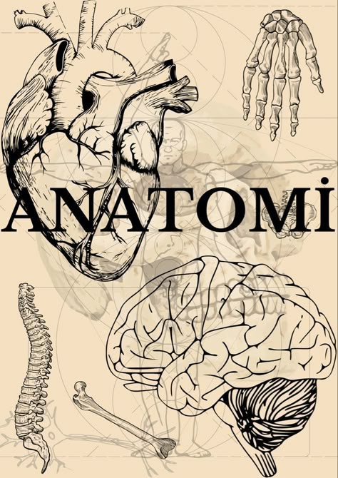 Anatomy Cover Page, School Notebook Cover, Magic Drawings, Goodnotes Notebook Cover, Fantasy Notebook, Medical Drawings, Goodnotes Notebook, Medical Journal, Whatsapp Wallpapers Hd