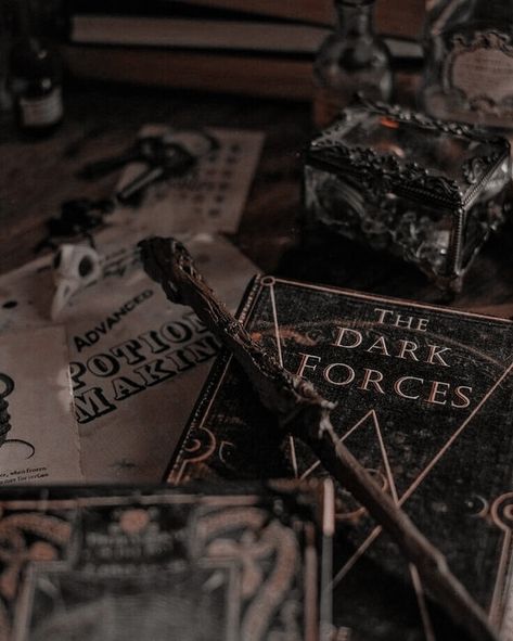 Dark Harry, Witch Series, Mattheo Riddle, Medieval Aesthetic, Harry Potter Images, Royalty Aesthetic, Slytherin Aesthetic, Magic Aesthetic, Harry Potter Aesthetic