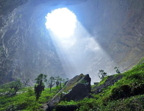 Mysterious sinkhole develops a surprising and beautiful ecosystem in China | Inhabitat - Sustainable Design Innovation, Eco Architecture, Green Building Hidden Forest, Alam Yang Indah, Ecosystem, Beach Fun, Amazing Nature, Natural Wonders, The Valley, Ecology, Beautiful Nature