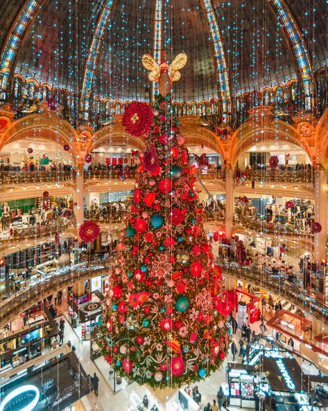 Some of the best Christmas decorations in Paris can be found at Galerie Lafayette, one of the best photo locations in Paris. The 2019 Christmas tree is decorated with red flowers, green baubles and bees hanging from the ceiling. Paris Decorations, French Christmas Traditions, Paris Christmas Market, Paris In December, Paris Christmas, Lafayette Paris, French Life, Paris Winter, Aesthetic Paris