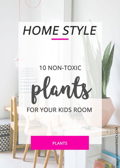 Household Rules, Toxic Plants, Cleaning Kids Room, Minimalist Kids Room, Kids Room Ideas, Planting For Kids, Playroom Organization, Temporary Wallpaper, Bedroom Plants