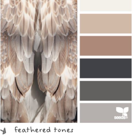 Color scheme Color Palette For Home, Seeds Color, Palettes Color, Color Palate, Design Seeds, Color My World, Colour Inspiration, Color Stories, Color Textures