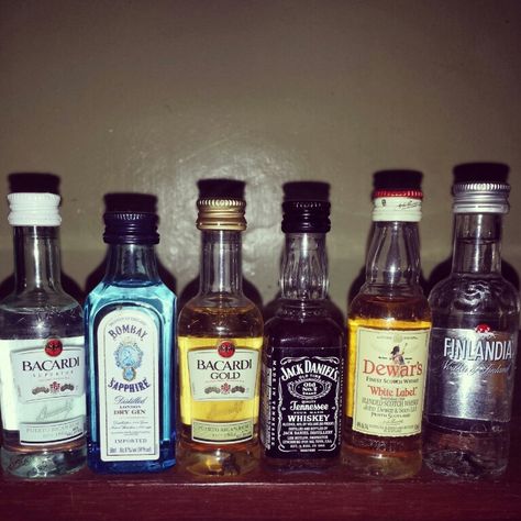 Alcohol Storage Ideas, Alcohol Storage, Tiny Sculptures, Mini Liquor Bottles, Alcohol Bottles, Horse Drawings, Bacardi, Mini Bottles, Liquor Bottles