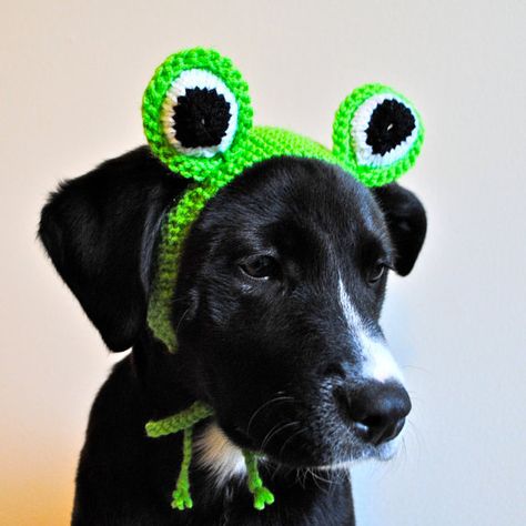 Knit Dog Hat, Costume For Dogs, Crochet Dog Hat, Dog Hats, Crochet Dog Clothes, Aesthetic Patterns, Crochet Pumpkins, Frog Costume, Frog Hat