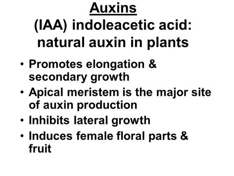 Auxin In Plants, Plant Hormones, Biology Lessons, Plant Science, Botany, Biology, Science, My Saves, Plants