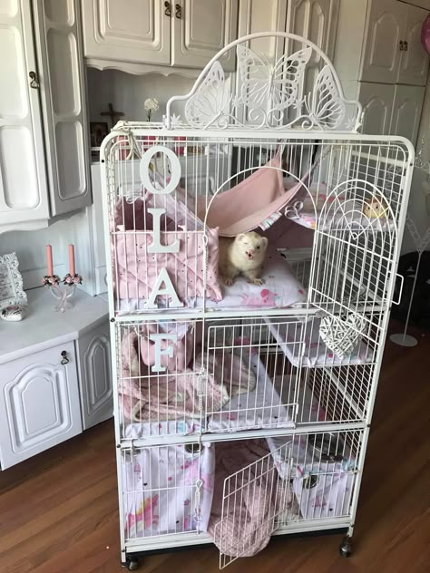 Cat Cage Aesthetic, Cute Rat Cage Setup, Ferret Cage Aesthetic, Cute Bird Cage Ideas, Ferret Aesthetic Cage, Ferrets Cage Ideas, Aesthetic Ferret Cage, Cute Rat Cage Ideas, Pink Rat Cage