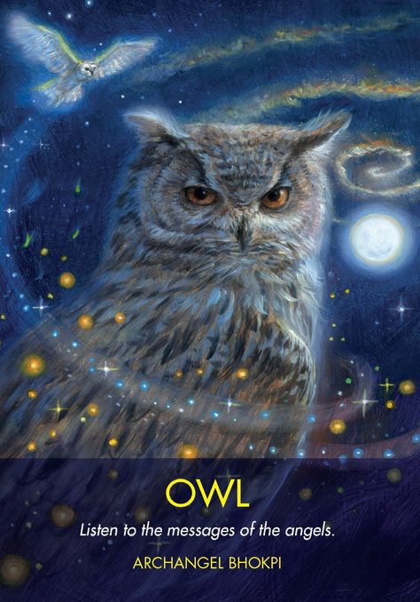 Animal Oracle Cards, Joseph Parker, Diana Cooper, Spirit Animal Totem, Tarot Significado, Angel Tarot Cards, Angel Tarot, Angel Oracle Cards, Animal Spirit Guides